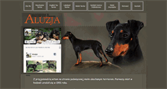 Desktop Screenshot of aluzja.pl
